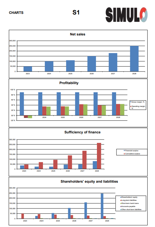 S1 Alkavan yrityksen tulos ja tase (ENG)